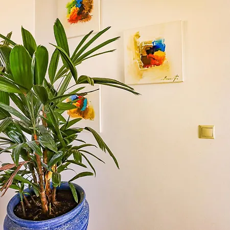 Mar Ali - Jacuzzi - 400m From The - By Bedzy * 阿尔布费拉